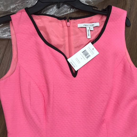 Max and Cleo - Picture 2 of 4